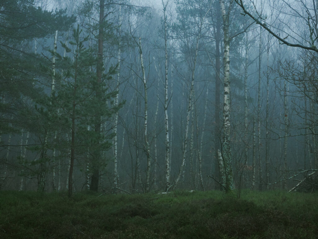 240211_R0004377_Original